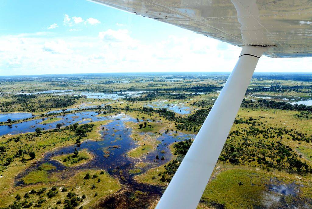 Voyage au Botswana : conseils et astuces pour une aventure réussie